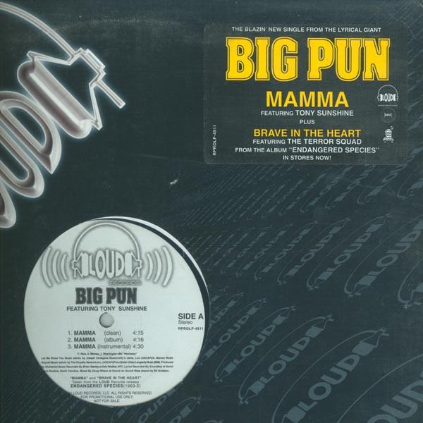 12inch Record BIG PUNISHER - Mamma / Brave In The Heart RPROLP4511 Loud Records 2001 US Rap & Hip-Hop/R&B Used
12inch Record BIG PUNISHER - Mamma / Brave In The Heart RPROLP4511 Loud Records 2001 US Rap & Hip-Hop/R&B Used