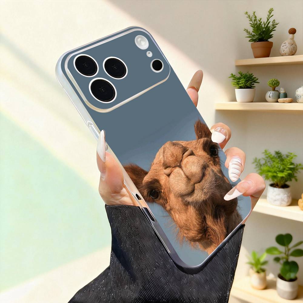 FUNNY Camel Cute For iPhone 11,12,13,14,15,16,17,Pro,Max,Plus,Mini,SE4,E Phone Case With Magsafe Wireless iPhone13PROMAX
FUNNY Camel Cute For iPhone 11,12,13,14,15,16,17,Pro,Max,Plus,Mini,SE4,E Phone Case With Magsafe Wireless iPhone13PROMAX