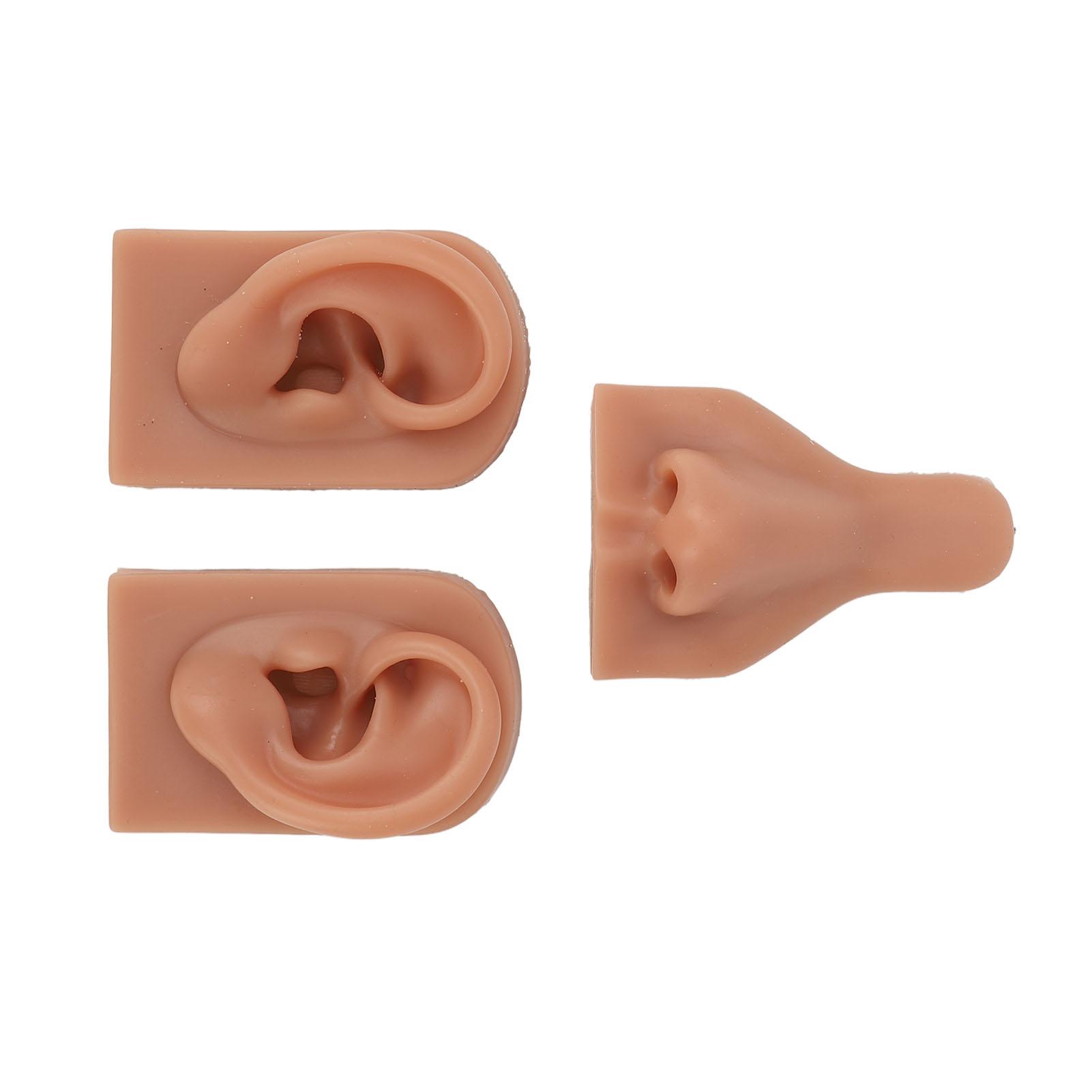 Silicone Nose r Model 3D Simulation Nose r Model Set for Piercing Practice Tching
Silicone Nose r Model 3D Simulation Nose r Model Set for Piercing Practice Tching