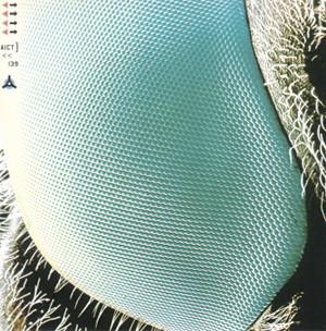 CD BOOM BOOM SATELLITES Fogbound AICT139 SMEJ Associated 2000 Japan Obi Japanese Club Dance Used
CD BOOM BOOM SATELLITES Fogbound AICT139 SMEJ Associated 2000 Japan Obi Japanese Club Dance Used