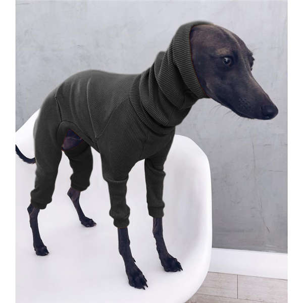Мода Осень Зимняя собака Pet Ткань Длинный рукав Turtleneck Ткань Твердый цвет Держать Теплый Случайный Милый Средние Собаки Пальто
Мода Осень Зимняя собака Pet Ткань Длинный рукав Turtleneck Ткань Твердый цвет Держать Теплый Случайный Милый Средние Собаки Пальто
