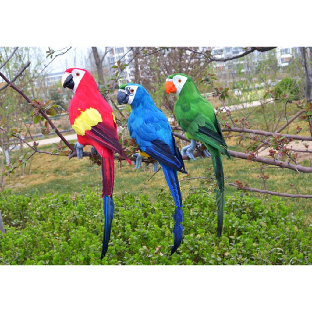 3Pcs 45cm Realistic Artificial Parrot Bird Figure Home Decor Budgie Taxidermy Wedding Decoration
3Pcs 45cm Realistic Artificial Parrot Bird Figure Home Decor Budgie Taxidermy Wedding Decoration