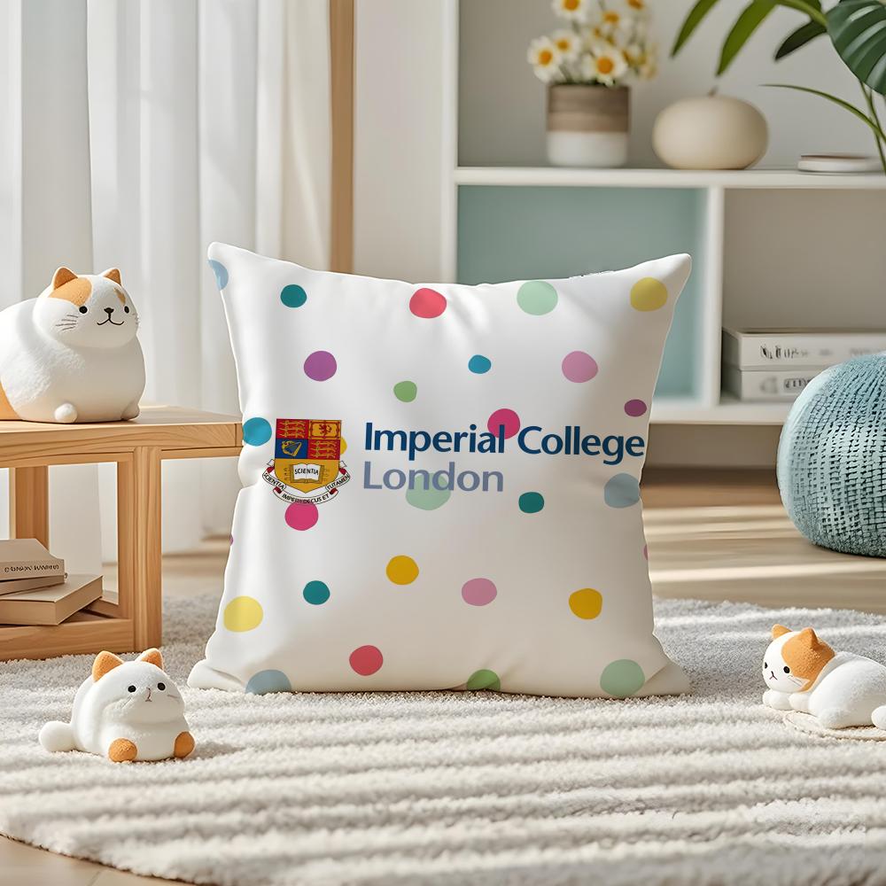 IImperial College London Pillow Case Silky Elegant Comfort Sofa Bed Invisible Zipper 30X30cm
IImperial College London Pillow Case Silky Elegant Comfort Sofa Bed Invisible Zipper 30X30cm