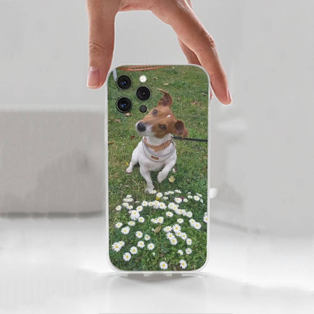 Jack Russell Terrier Dog Phone Case For iPhone,14,13,XR,SE,12,15,Pro,Max,Plus,11,17,16,X,XS,Mini Transparent Soft Cover iPhone16se4
Jack Russell Terrier Dog Phone Case For iPhone,14,13,XR,SE,12,15,Pro,Max,Plus,11,17,16,X,XS,Mini Transparent Soft Cover iPhone16se4