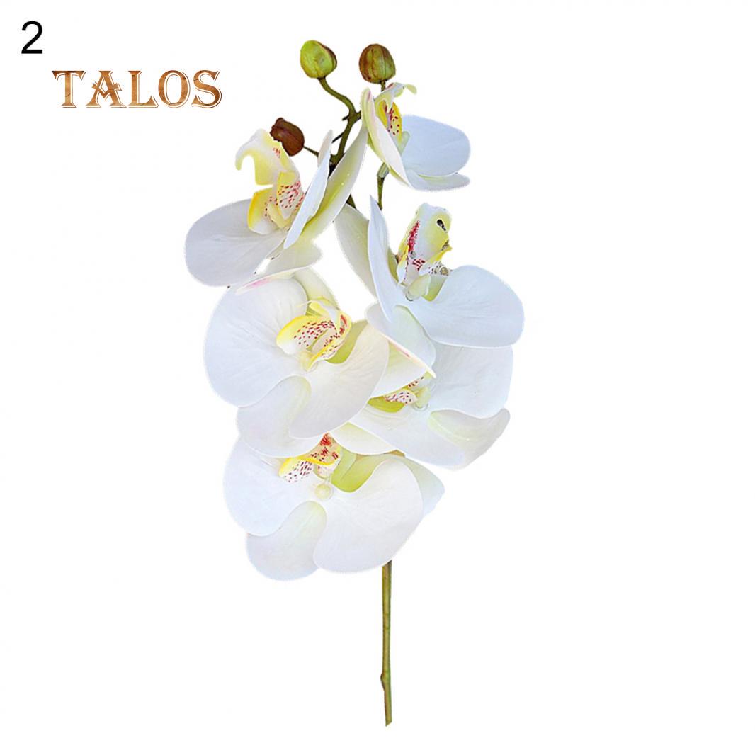 1 шт., 6 головок, искусственная бабочка, орхидея, шелковый цветок, домашний декор для свадьбы, вечеринки, офисное украшение 2#
1 шт., 6 головок, искусственная бабочка, орхидея, шелковый цветок, домашний декор для свадьбы, вечеринки, офисное украшение 2#