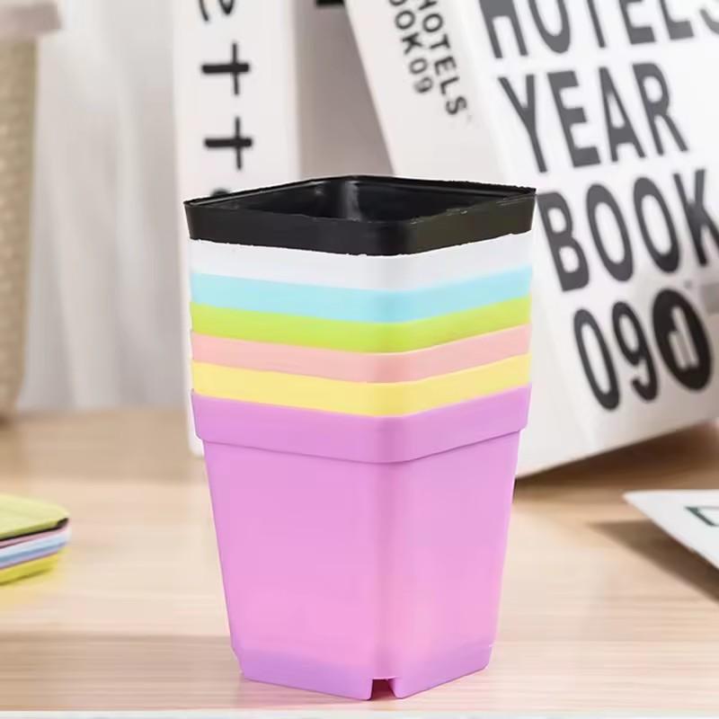 10/20Pcs Mini Square Flowerpot Thickened Small Nursery Pot Colorful Seeds Box Succulent Plant Planters Trays Garden Decoration 10pcs
10/20Pcs Mini Square Flowerpot Thickened Small Nursery Pot Colorful Seeds Box Succulent Plant Planters Trays Garden Decoration 10pcs