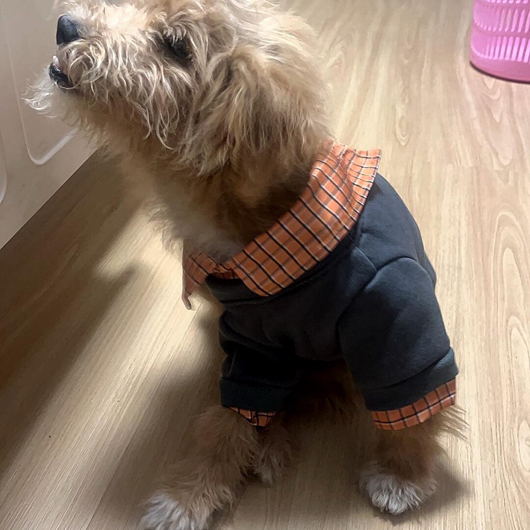 K-Drama Inspired Autumn/Winter Pet Apparel for Small Dogs & Cats L: Chest 45, Back 35, 7-9 lbs
K-Drama Inspired Autumn/Winter Pet Apparel for Small Dogs & Cats L: Chest 45, Back 35, 7-9 lbs
