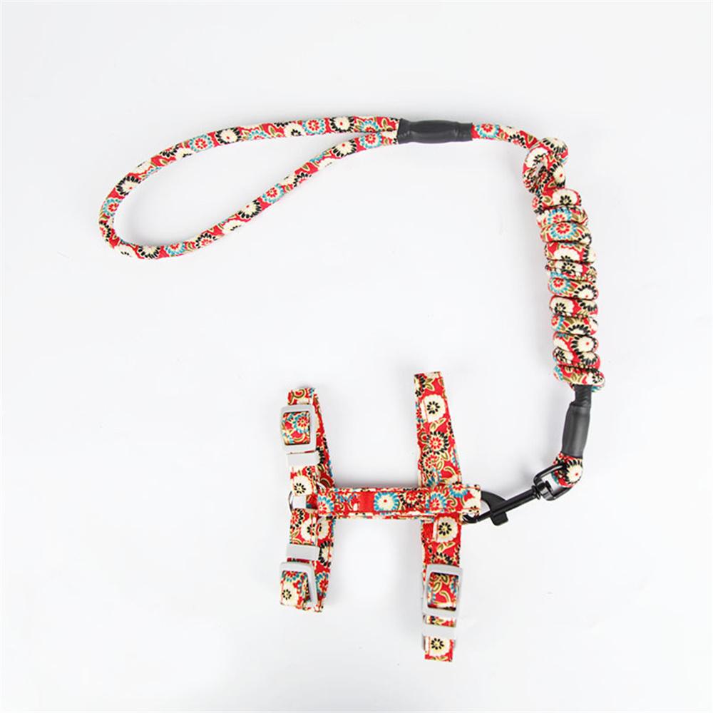 Adjustable Cat Harness and Leash Set Walking Running Pet Products Accessories for Cats Pets kedi mascota Harnesses harnais chat S-suit 0.5-2.5kg
Adjustable Cat Harness and Leash Set Walking Running Pet Products Accessories for Cats Pets kedi mascota Harnesses harnais chat S-suit 0.5-2.5kg