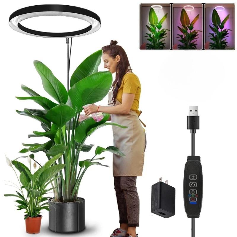 Grow Lights Indoor Plants LED Ring Grow Lights Height Adjustable USB Telescopic Tube Ground Inserted Flower Potted Seedling Lamp
Grow Lights Indoor Plants LED Ring Grow Lights Height Adjustable USB Telescopic Tube Ground Inserted Flower Potted Seedling Lamp