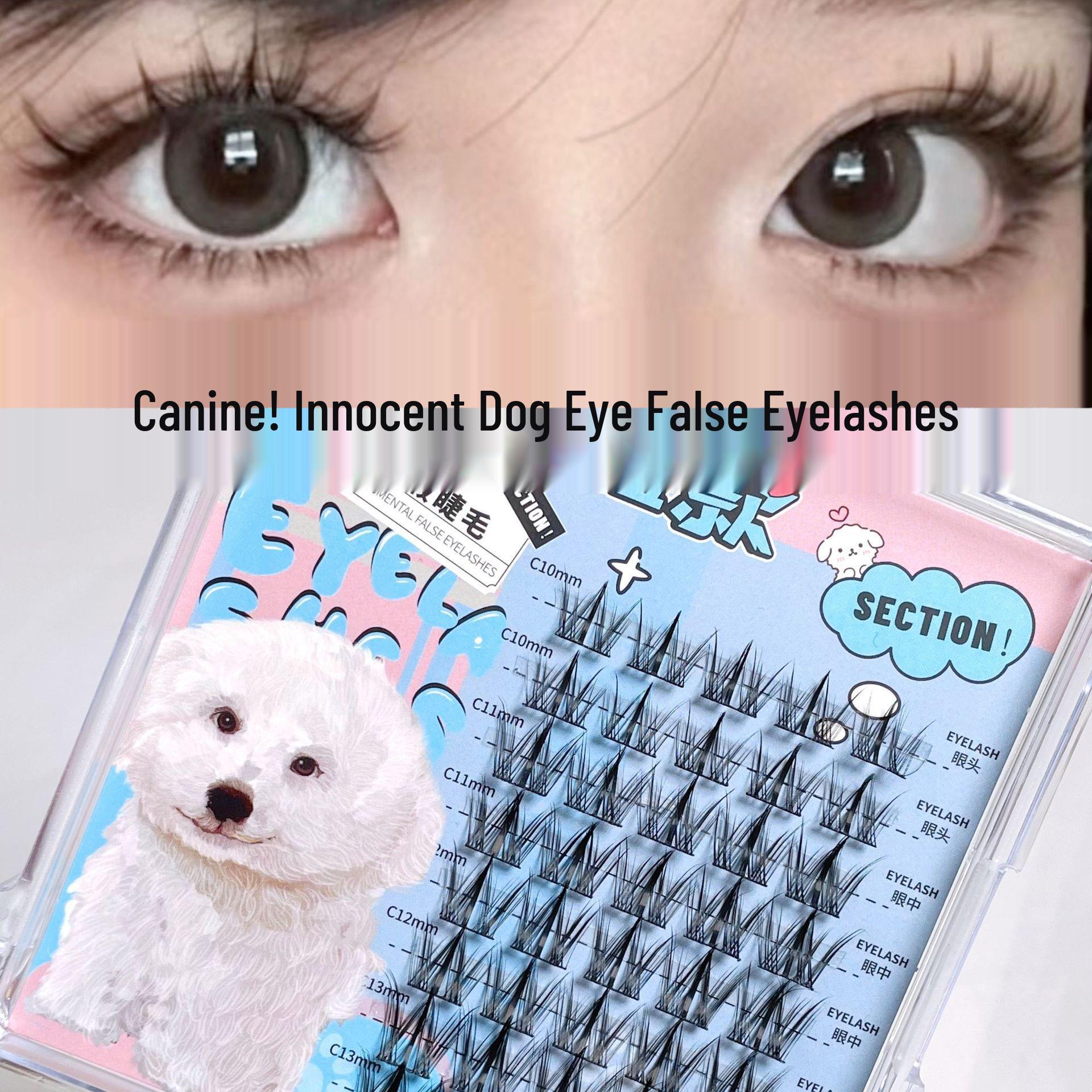 Natural Thick Cluster Black Stem Eyelashes: Dog-like Round Face with Innocent Puppy Eyes Single Box
Natural Thick Cluster Black Stem Eyelashes: Dog-like Round Face with Innocent Puppy Eyes Single Box