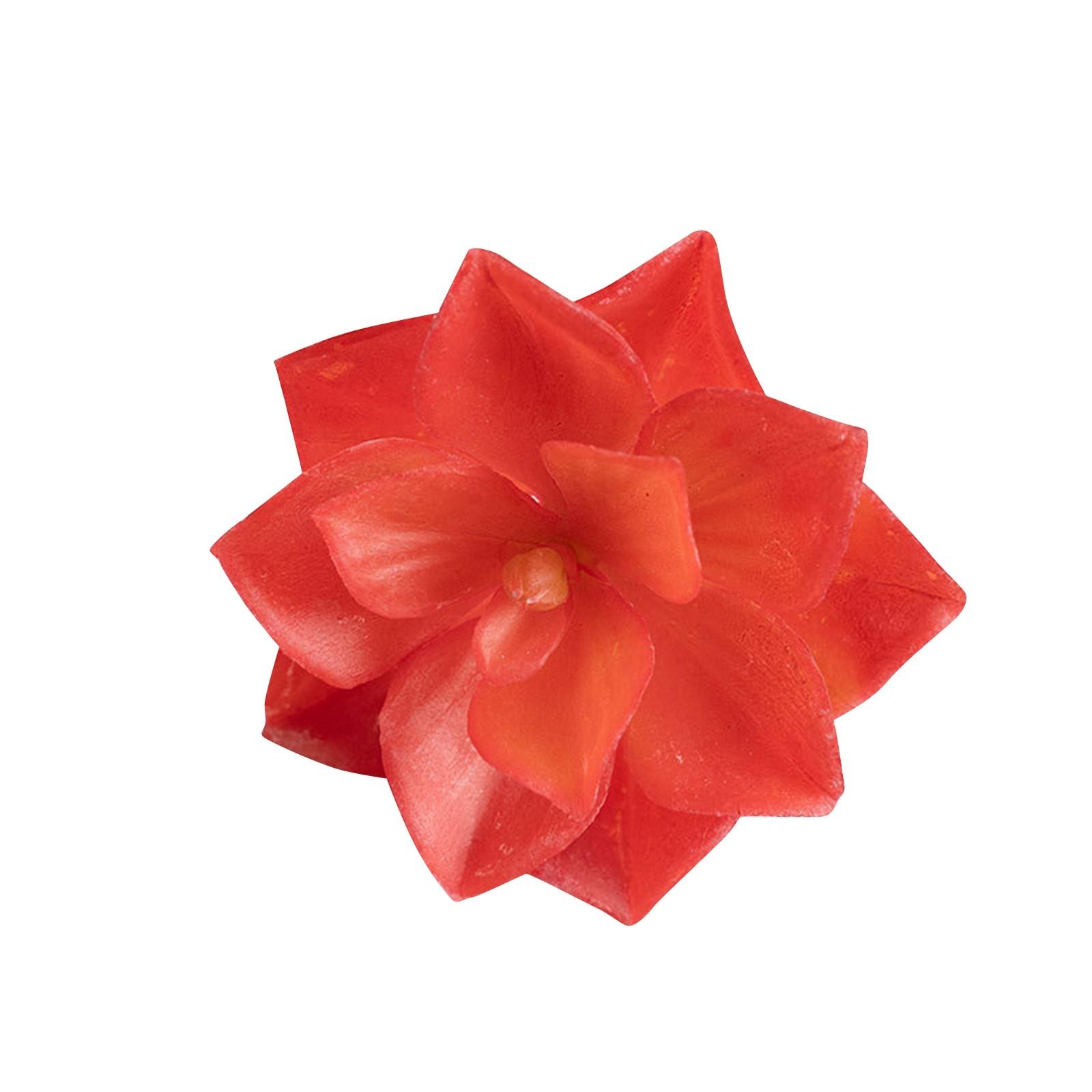 Simulation Flower Succulent Pearl Leaf Desk Home Decor Wedding Bouquet Fake Flowers One Size червоний
Simulation Flower Succulent Pearl Leaf Desk Home Decor Wedding Bouquet Fake Flowers One Size червоний