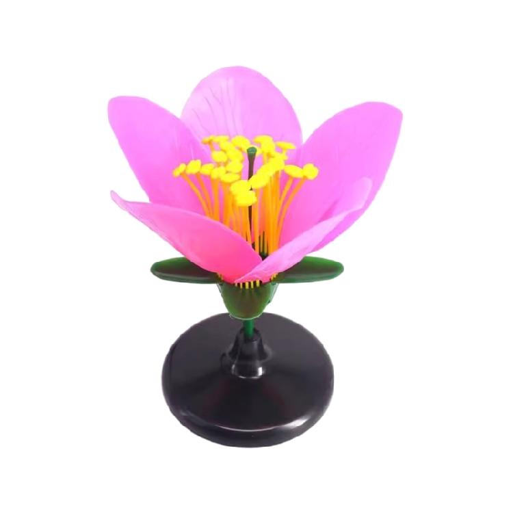 Authentic Colored Detachable Plastic Blossom Teaching Model Middle High School Biological Science Education Supplies 1
Authentic Colored Detachable Plastic Blossom Teaching Model Middle High School Biological Science Education Supplies 1