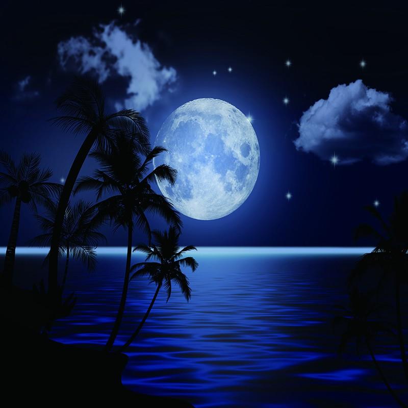 Домашний декор Гостиная Спальня Гобелен Красивый закат Солнце Луна Мандала Настенный гобелен 150x100cm
Домашний декор Гостиная Спальня Гобелен Красивый закат Солнце Луна Мандала Настенный гобелен 150x100cm