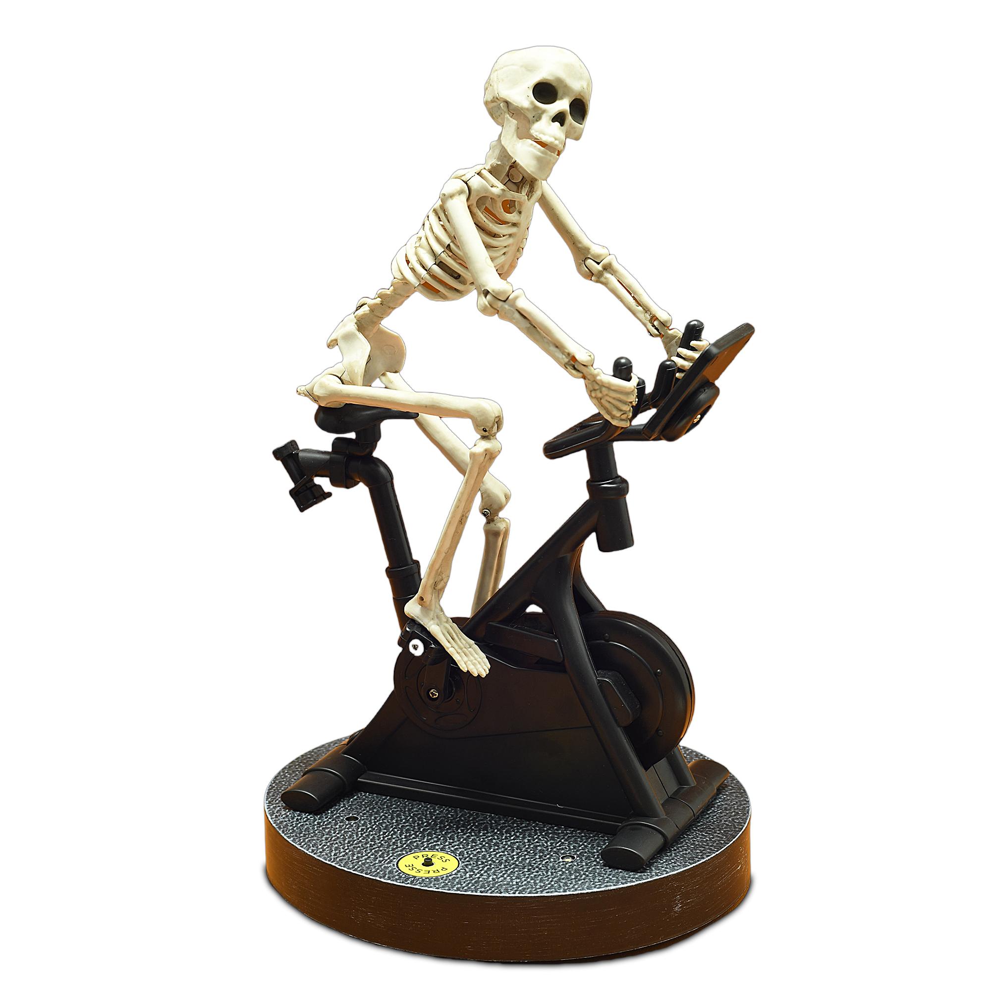 Halloween decoration props, skeleton people riding spinning bikes with lights and music, Halloween party, interior decoration чёрный
Halloween decoration props, skeleton people riding spinning bikes with lights and music, Halloween party, interior decoration чёрный