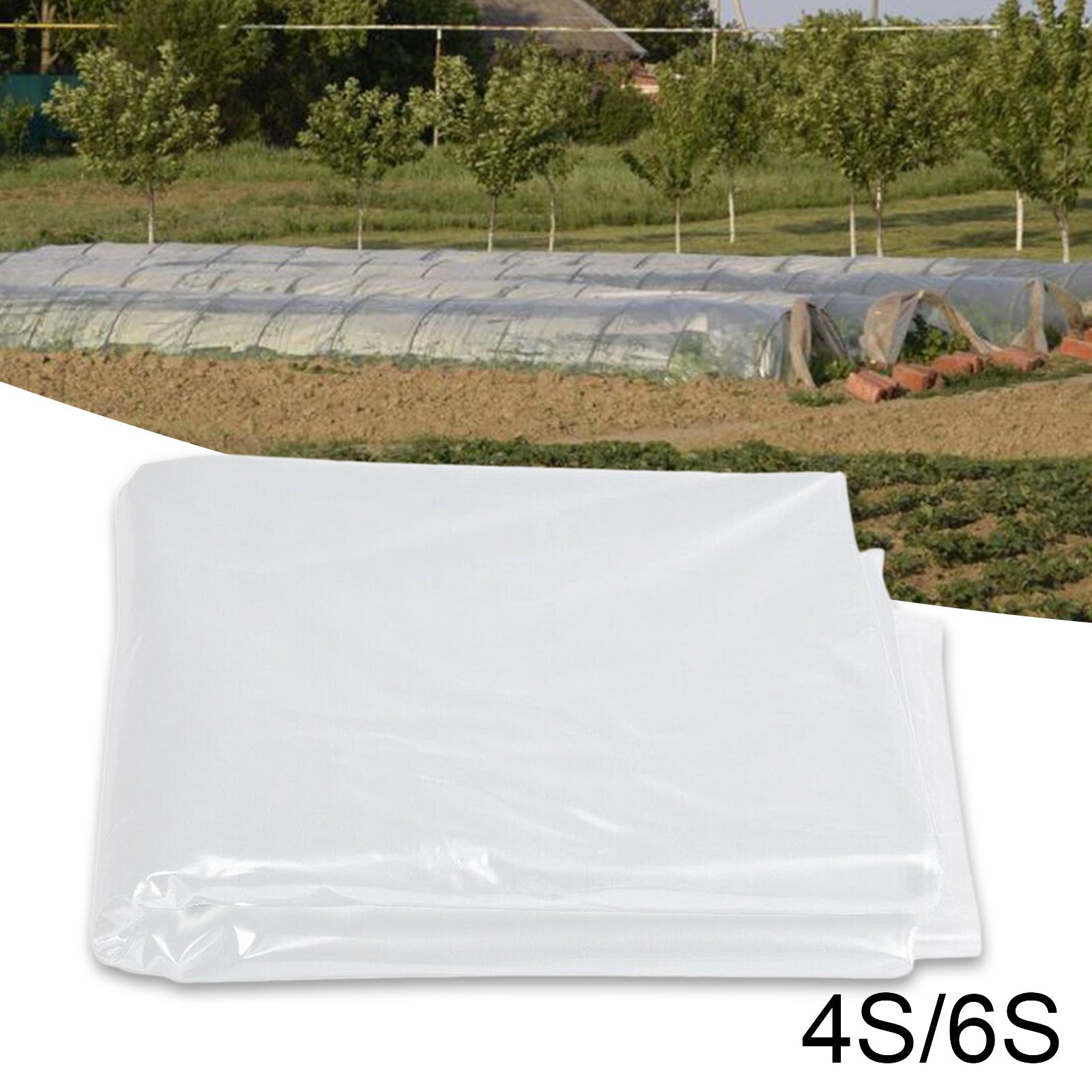 Greenhouse Film Green House Hoop Resistant Farm Supply Cover for Agriculture Garden 3M Middle Thickness
Greenhouse Film Green House Hoop Resistant Farm Supply Cover for Agriculture Garden 3M Middle Thickness
