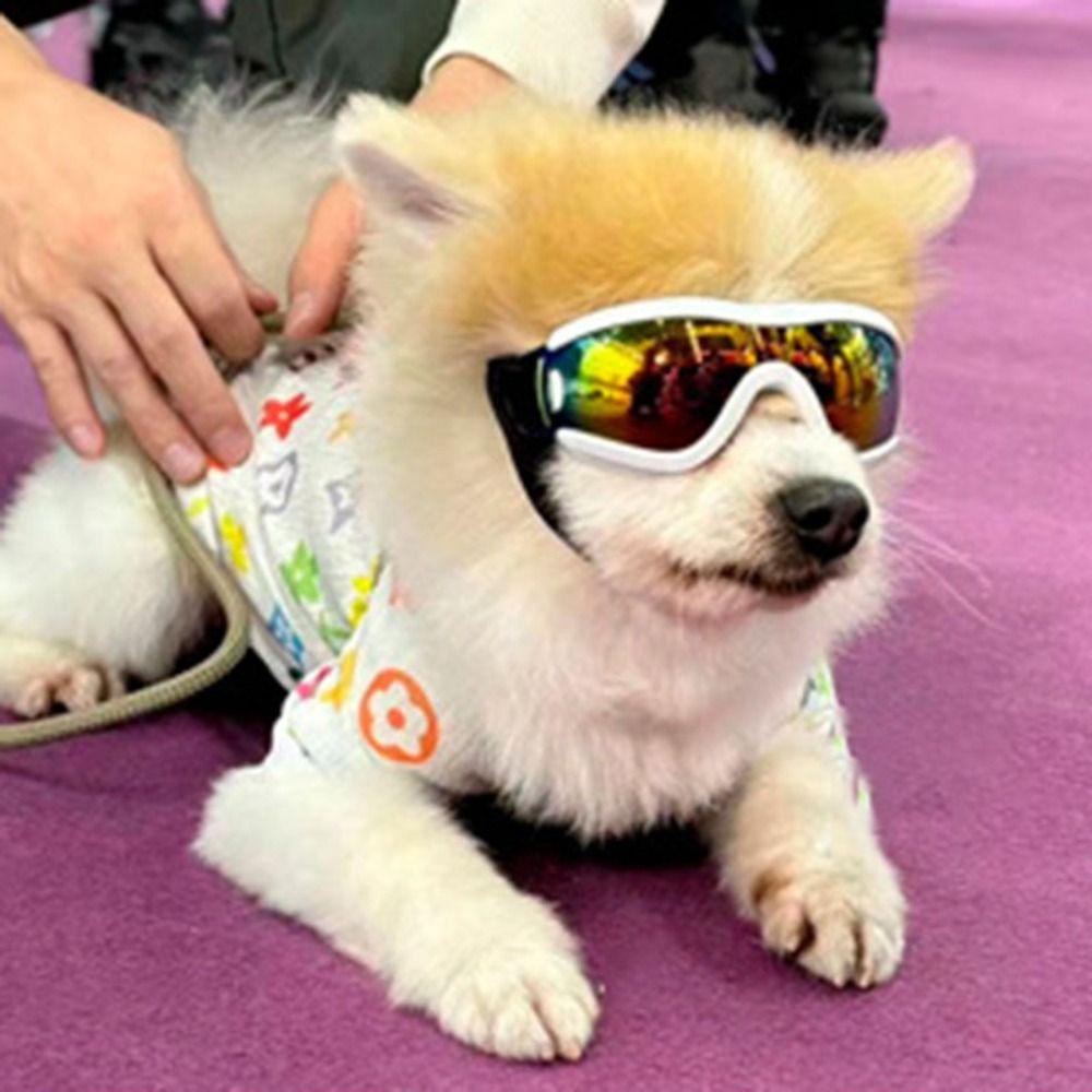 Adjustable Strap Dog Sunglasses Windproof Pet Glasses Dog Accessories Dog Goggles Travel S-Style A
Adjustable Strap Dog Sunglasses Windproof Pet Glasses Dog Accessories Dog Goggles Travel S-Style A