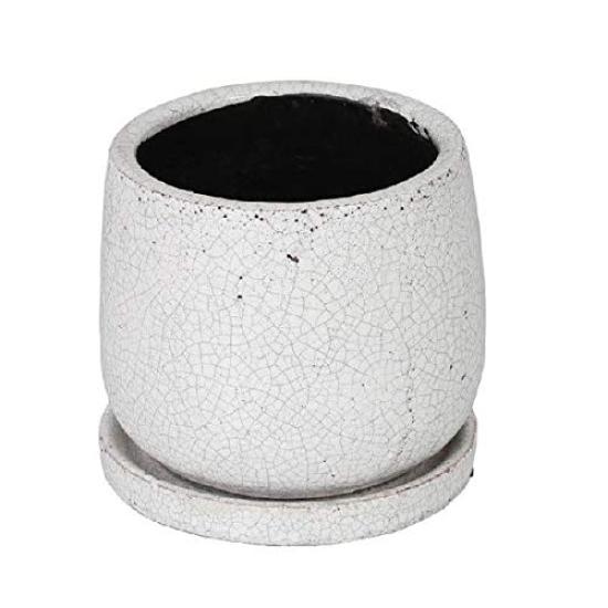 Dulton Gardening Supplies Glazed Pot Round White Large Size with Drain Hole GLAZED POT ROUND WHITE K655-851LWT белый
Dulton Gardening Supplies Glazed Pot Round White Large Size with Drain Hole GLAZED POT ROUND WHITE K655-851LWT белый