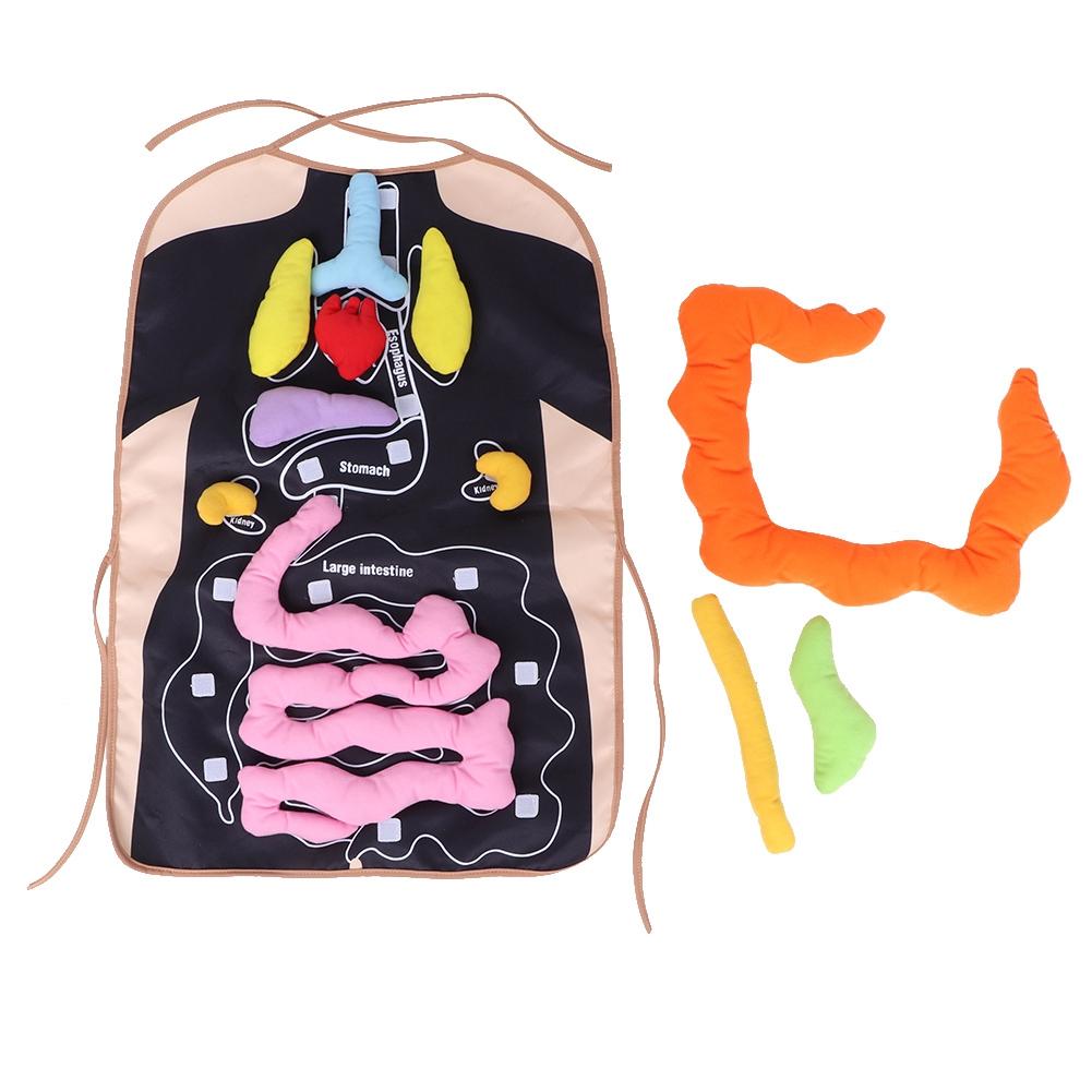 Children s Early Education Puzzle Teaching Equipment Human Body Stereoscopic Organ Apron
Children s Early Education Puzzle Teaching Equipment Human Body Stereoscopic Organ Apron