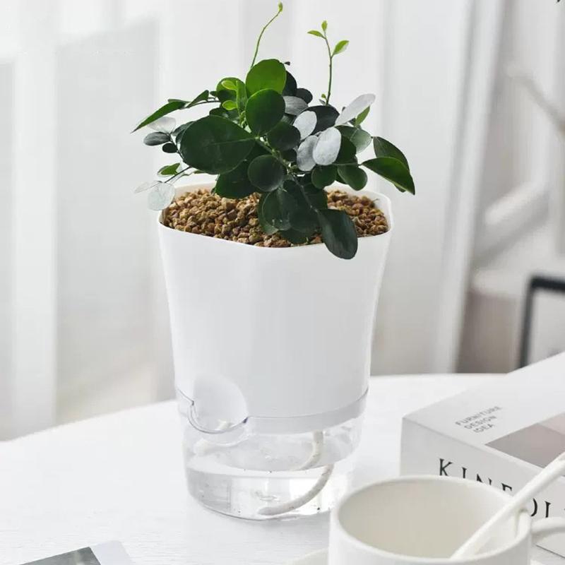Мини Гидропонный Цветочный Горшок Домашняя Ваза Декор Прозрачный Имитация Пластика Беспочвенные Растения Горшки Зеленые Растения Горшок Для Дома S белый
Мини Гидропонный Цветочный Горшок Домашняя Ваза Декор Прозрачный Имитация Пластика Беспочвенные Растения Горшки Зеленые Растения Горшок Для Дома S белый