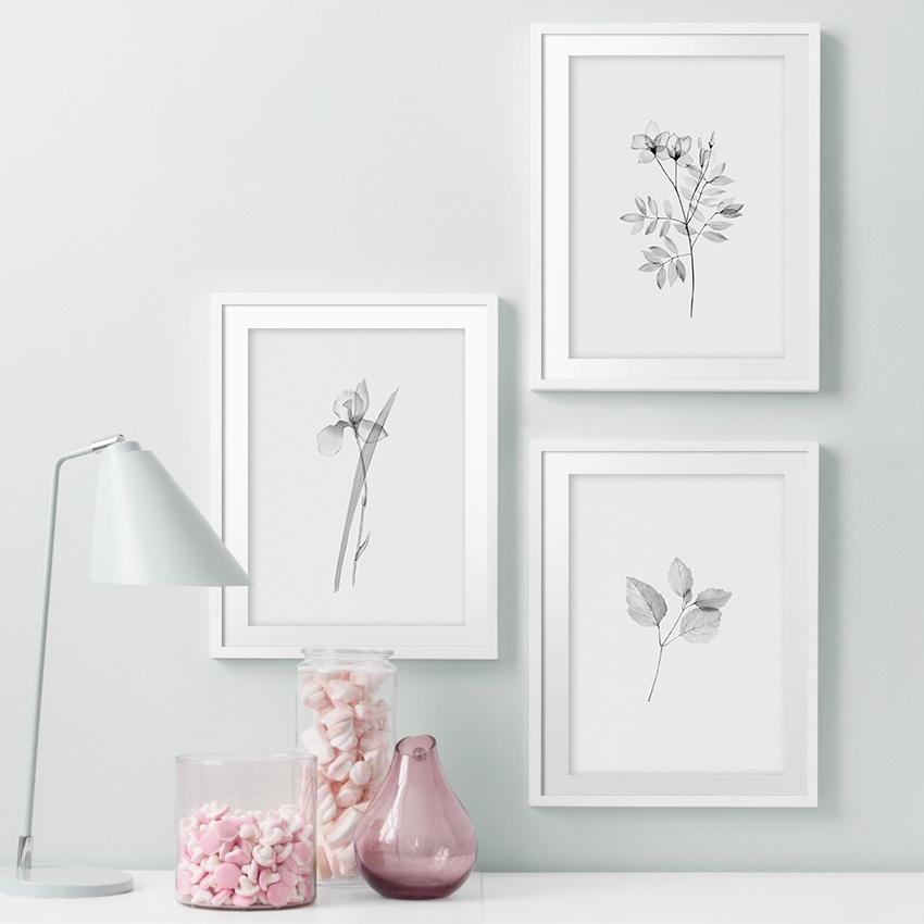 Painting Poster Printing Plant Wall Picture Living Room Decoration Minimalist Black White Leaf Flower Painted Canvas
Painting Poster Printing Plant Wall Picture Living Room Decoration Minimalist Black White Leaf Flower Painted Canvas