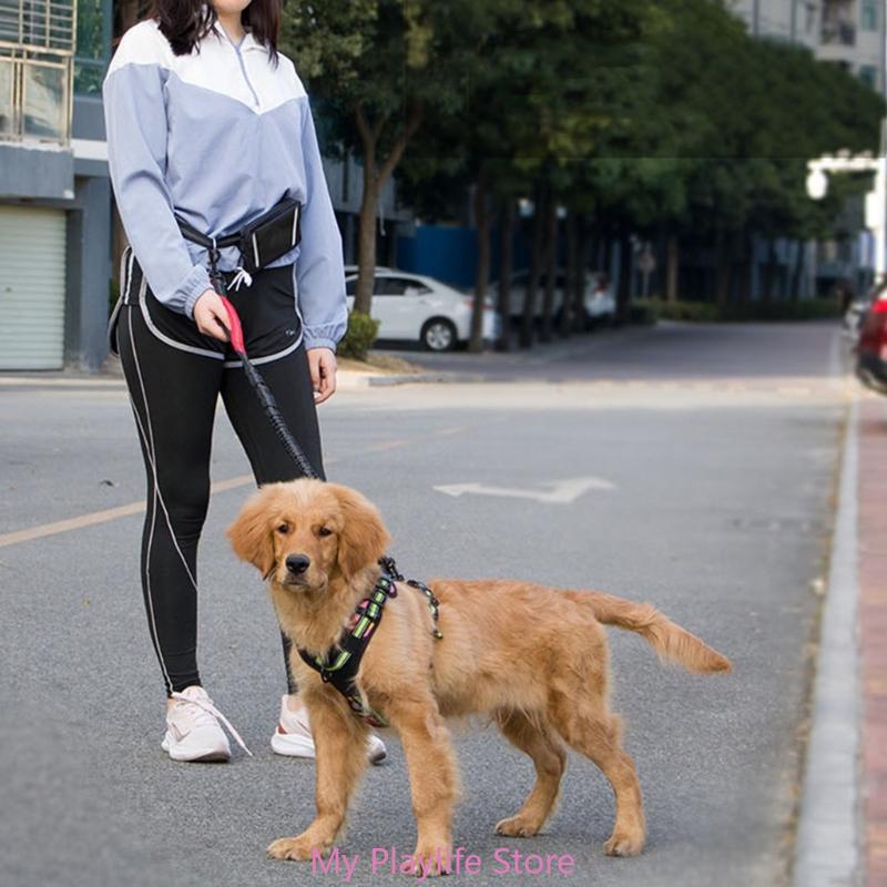 Dog Leash and Walking Waist Bag Set Multifunctional Dog Leash with Waist Bag Dog Walking Leash Outdoor Activity
Dog Leash and Walking Waist Bag Set Multifunctional Dog Leash with Waist Bag Dog Walking Leash Outdoor Activity