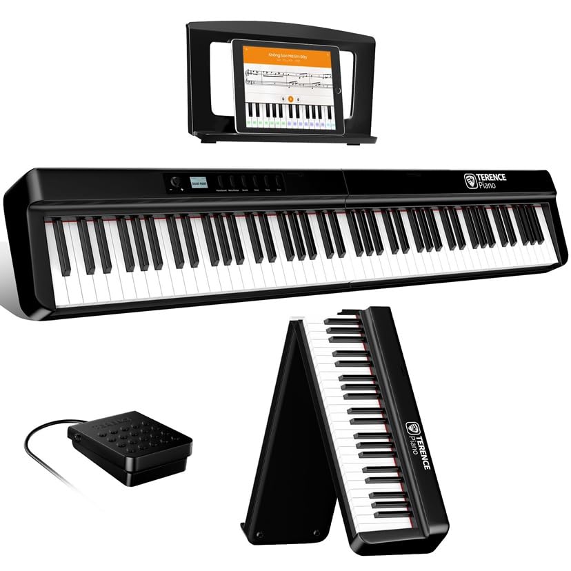 TERENCE Electronic 88 Progressive Weighted, близкий к настоящему французскому звуку DREAM, 15 Вт, Dual, воспроизводит звук большого MIDI, поставляется с совместимым
TERENCE Electronic 88 Progressive Weighted, близкий к настоящему французскому звуку DREAM, 15 Вт, Dual, воспроизводит звук большого MIDI, поставляется с совместимым