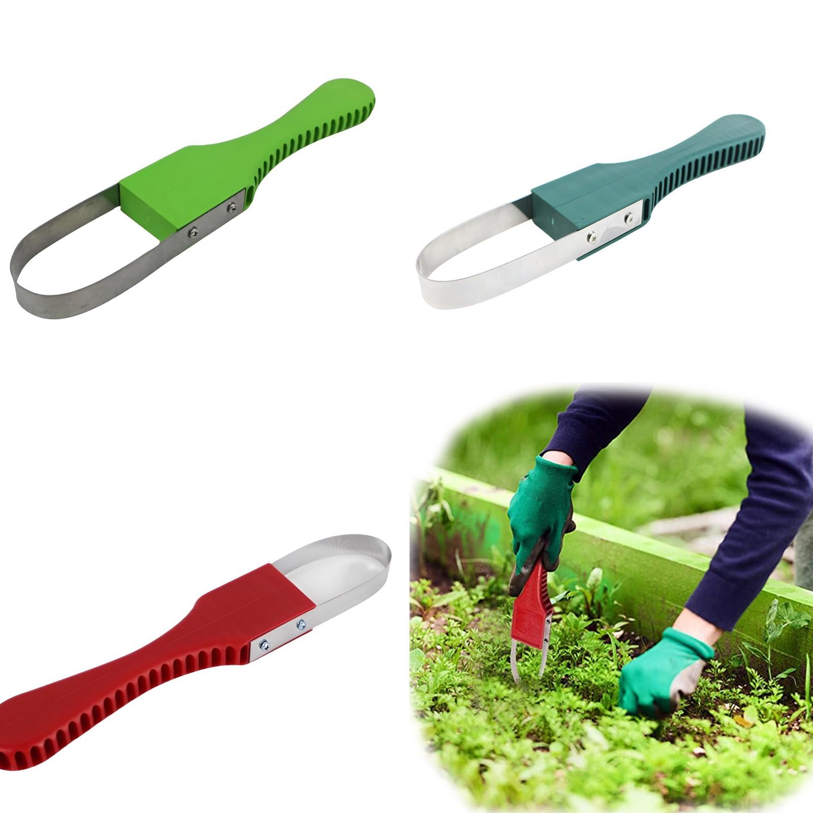 Gardening Supplies Plastic Handle Weeder Weeding Tool Circular Mower One Size темно-зеленого
Gardening Supplies Plastic Handle Weeder Weeding Tool Circular Mower One Size темно-зеленого
