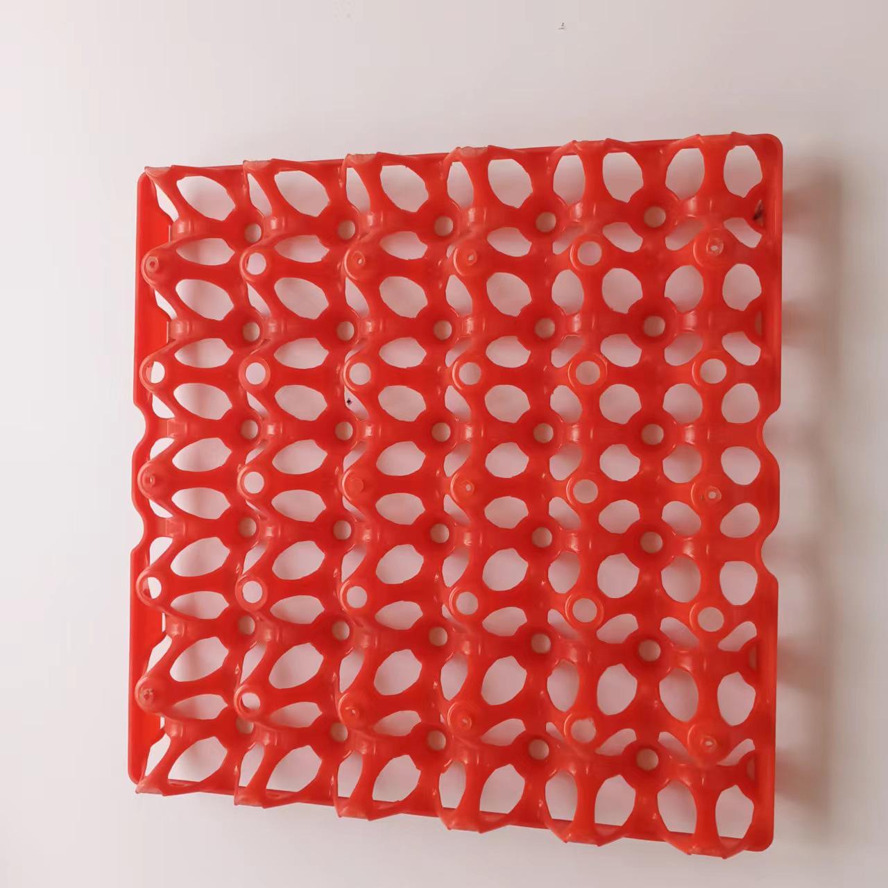 Утолщенный пластиковый штабелируемый лоток на 30 яиц для транспортировки на большие расстояния
Утолщенный пластиковый штабелируемый лоток на 30 яиц для транспортировки на большие расстояния