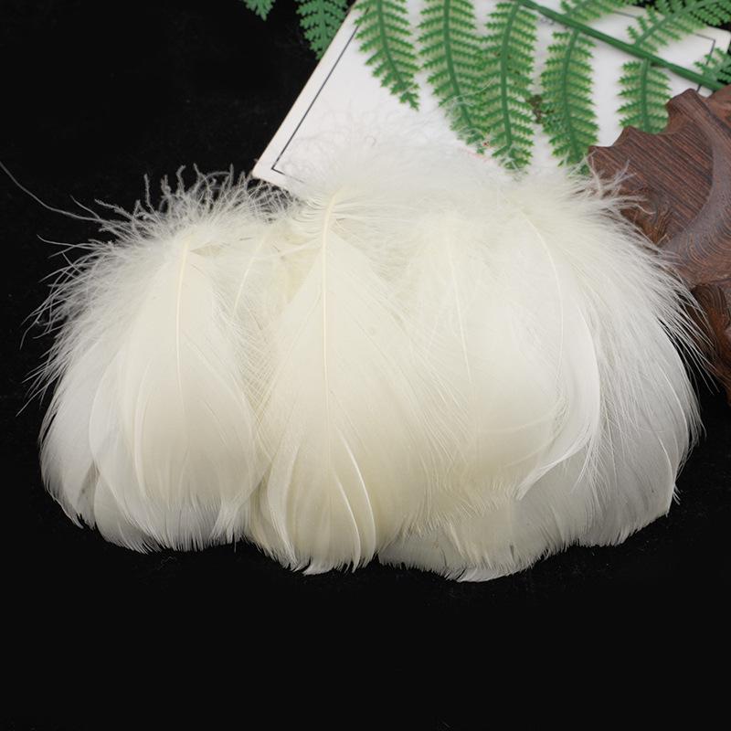 Colorful Dyed Goose Feathers for DIY Dream Catchers and Photography Props
Colorful Dyed Goose Feathers for DIY Dream Catchers and Photography Props