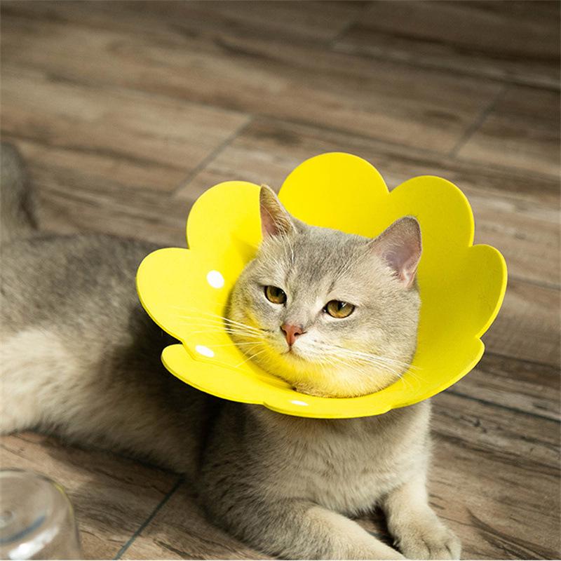 Premium Access: Purchase Restriction Extra Small жовтий
Premium Access: Purchase Restriction Extra Small жовтий