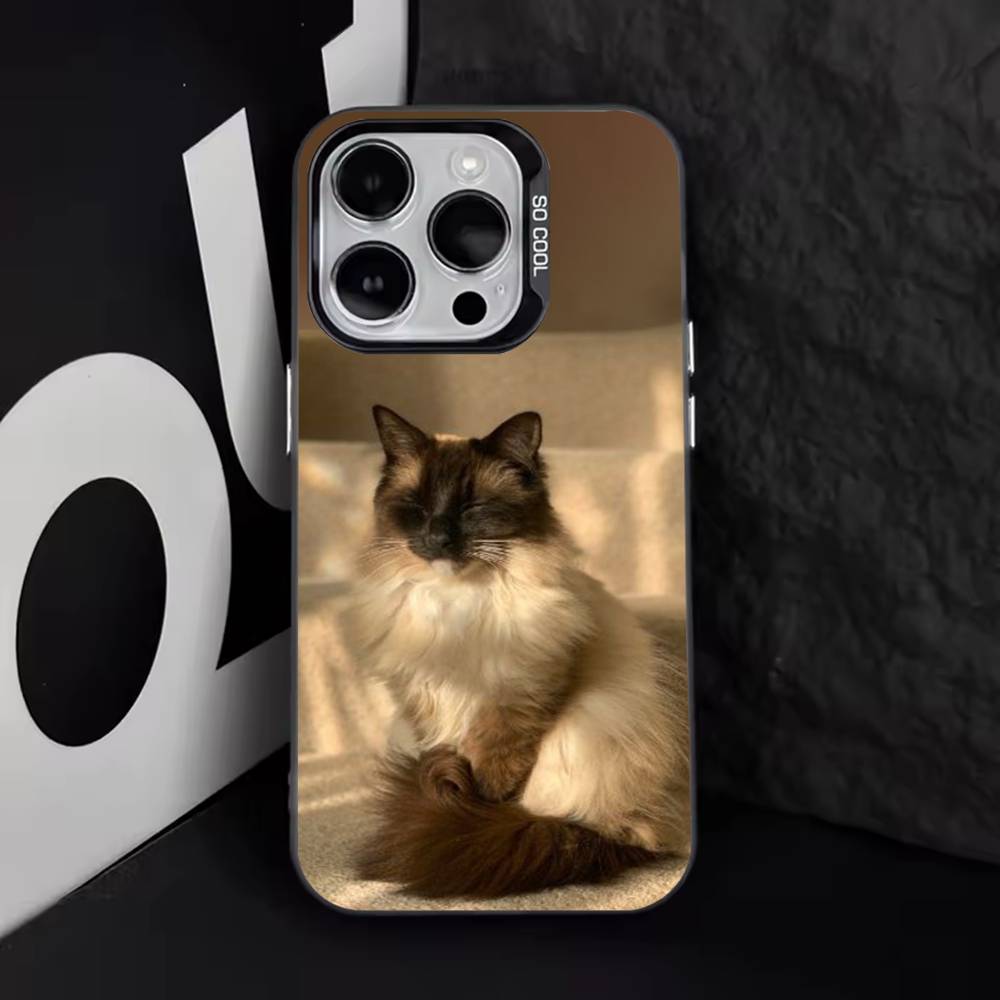 S-Siamese Cats Cute Phone Case For iPhone 17,16,15,14,13,12,11,Pro,Max,Plus,E,Air,Mini Black Tpu Cover iPhone12mini
S-Siamese Cats Cute Phone Case For iPhone 17,16,15,14,13,12,11,Pro,Max,Plus,E,Air,Mini Black Tpu Cover iPhone12mini