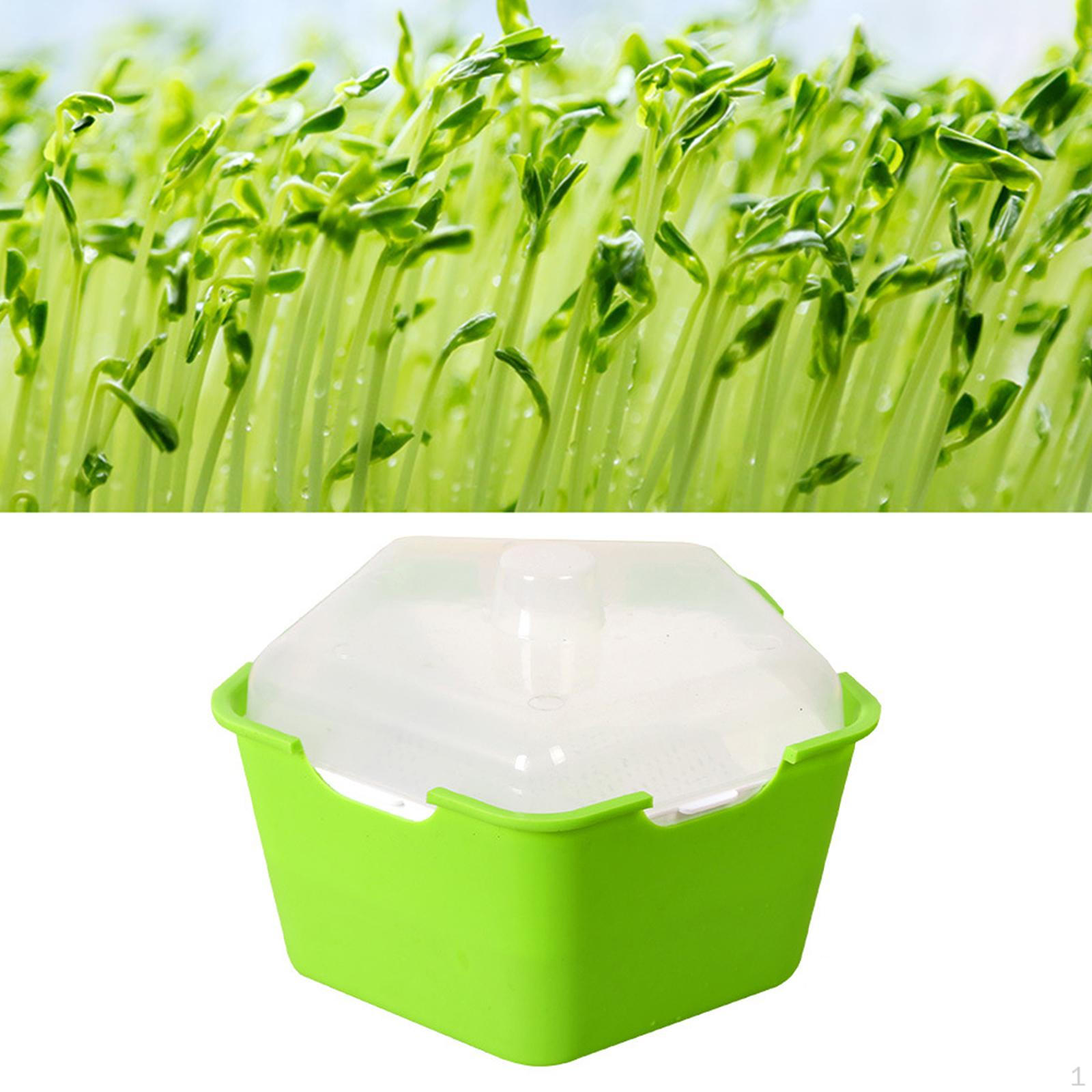 Starter Tray Greenhouse Trays Observation Germination for Garden Peas Grass Alfalfa зелёный
Starter Tray Greenhouse Trays Observation Germination for Garden Peas Grass Alfalfa зелёный