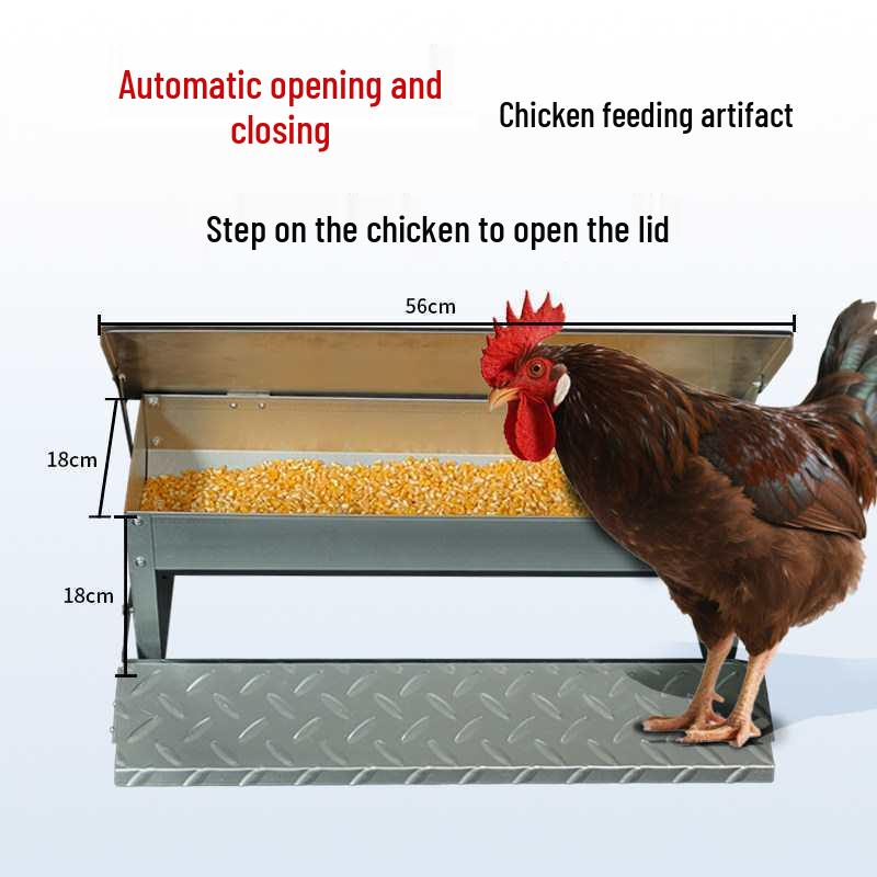Automatic Foot-Pedal Chicken Feeder - Anti-Bird, Anti-Rain, Anti-Rat, Large Capacity.
Automatic Foot-Pedal Chicken Feeder - Anti-Bird, Anti-Rain, Anti-Rat, Large Capacity.