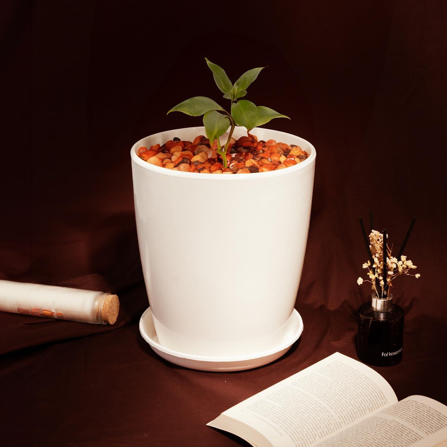 Blossom 12 Inch Solid White Flower Pot| Lightweight & Durable for Indoor/Outdoor | for Big Size Plants/Flower | Flower Pot for Living Room 12 INCH
Blossom 12 Inch Solid White Flower Pot| Lightweight & Durable for Indoor/Outdoor | for Big Size Plants/Flower | Flower Pot for Living Room 12 INCH