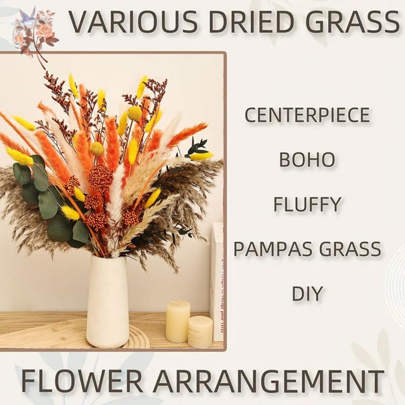 Autumn Dried Fluffy Pampas Bunny Tails Boho Home Nature Flower Bouquet Baby Breath Living Room Vase Decor Wedding Couples Gift
Autumn Dried Fluffy Pampas Bunny Tails Boho Home Nature Flower Bouquet Baby Breath Living Room Vase Decor Wedding Couples Gift