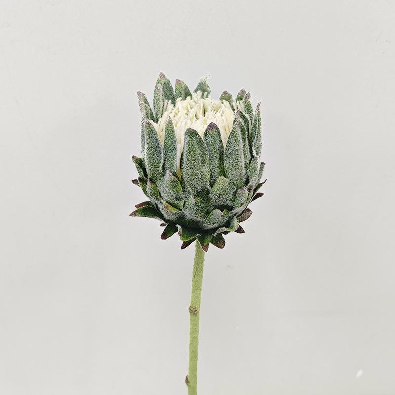 Home wedding decoration ornament wedding photography props simulation king flower simulation flower зелений
Home wedding decoration ornament wedding photography props simulation king flower simulation flower зелений