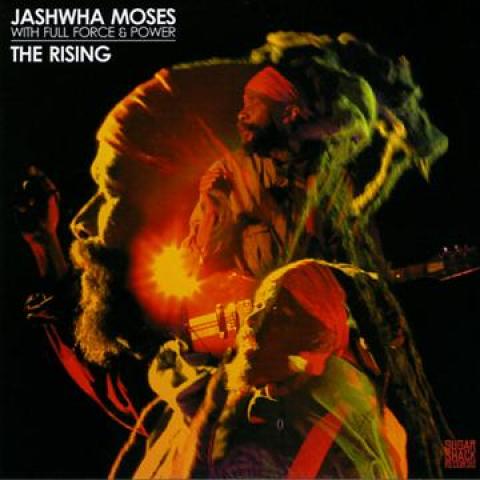 LP Record JASHWHA MOSES, FULL FORCE & POWER - Rising (Coloured Vinyl) FOD108V Sugar Shack 2015 UK Reggae, Ska & Dub
LP Record JASHWHA MOSES, FULL FORCE & POWER - Rising (Coloured Vinyl) FOD108V Sugar Shack 2015 UK Reggae, Ska & Dub