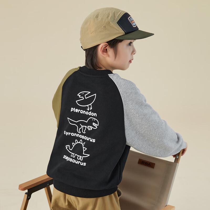 Boys Dinosaur Patchwork Sweatshirt 110
Boys Dinosaur Patchwork Sweatshirt 110