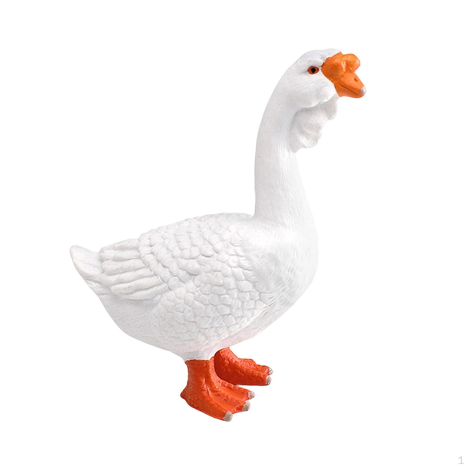 Animal Model Simulation, Educational Toy Collection, Prop, Home Decoration, Farm Figure for White Goose
Animal Model Simulation, Educational Toy Collection, Prop, Home Decoration, Farm Figure for White Goose