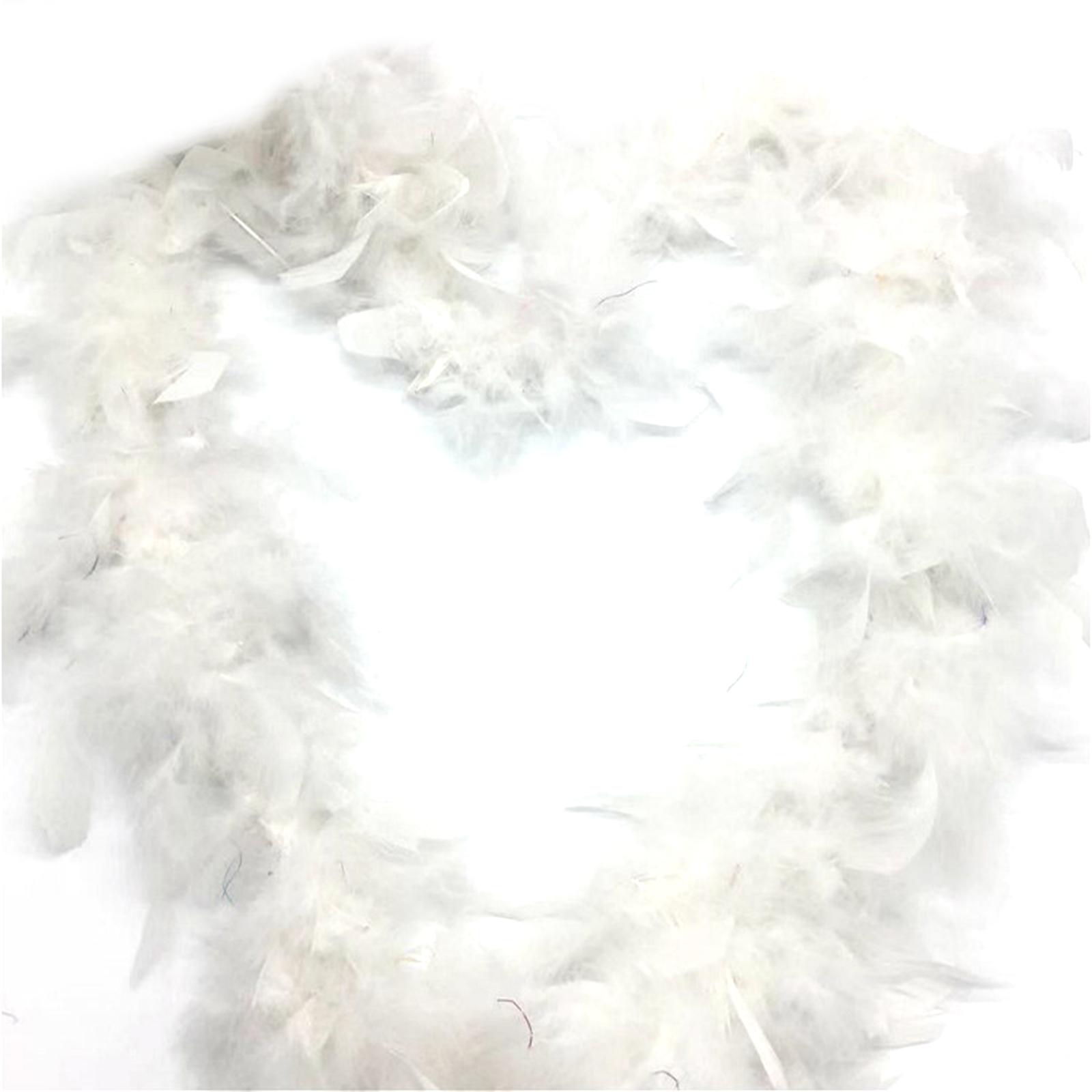 Colorful Fluffy Feather Boa for Crafts Soft Feather Stripe Wedding Party Costume Nightclub Stage Cosplay Diy Decorations 1
Colorful Fluffy Feather Boa for Crafts Soft Feather Stripe Wedding Party Costume Nightclub Stage Cosplay Diy Decorations 1