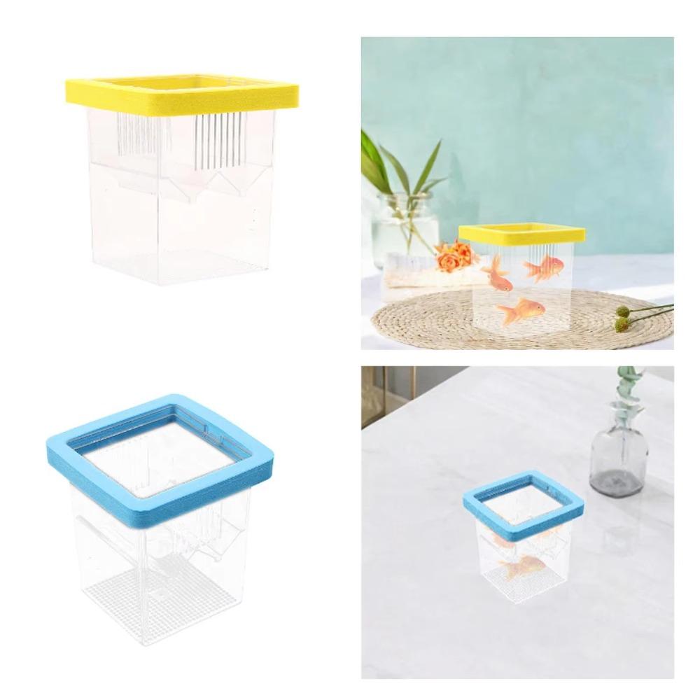 Square Aquarium Fish Breeding Box Acrylic Aquarium Breeder Feeder Aquarium жовтий
Square Aquarium Fish Breeding Box Acrylic Aquarium Breeder Feeder Aquarium жовтий
