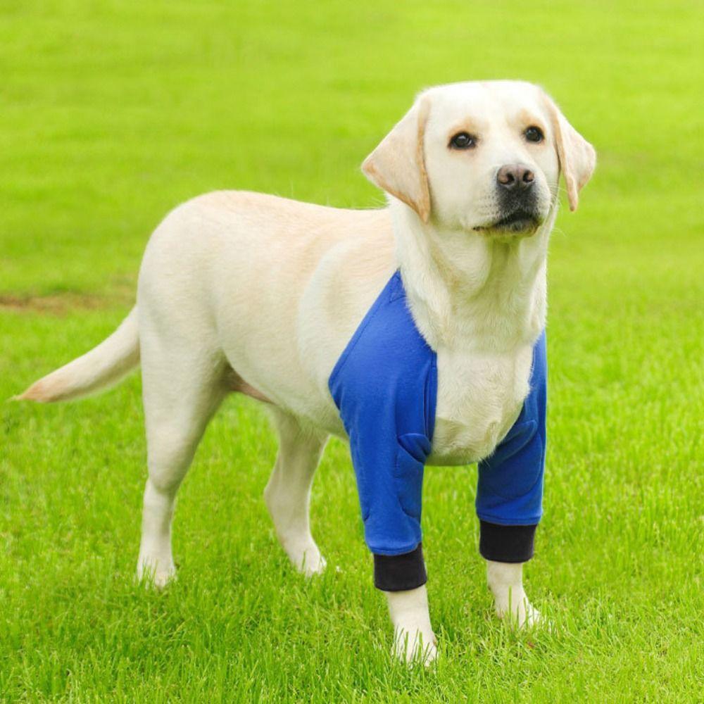 Breathable Dog Elbow Brace Cotton Dog Shoulder Support Dog Elbow Protector For Dog Front Leg M синій
Breathable Dog Elbow Brace Cotton Dog Shoulder Support Dog Elbow Protector For Dog Front Leg M синій