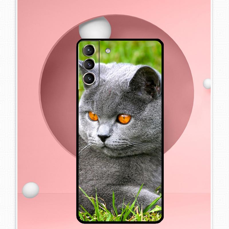 Чохол для британської короткошерстої кішки для Samsung Galaxy S24 S23 Ultra S22 S20 FE S21 FE Note 10 20 S8 S9 S10 Plus Cover Galaxy S9
Чохол для британської короткошерстої кішки для Samsung Galaxy S24 S23 Ultra S22 S20 FE S21 FE Note 10 20 S8 S9 S10 Plus Cover Galaxy S9