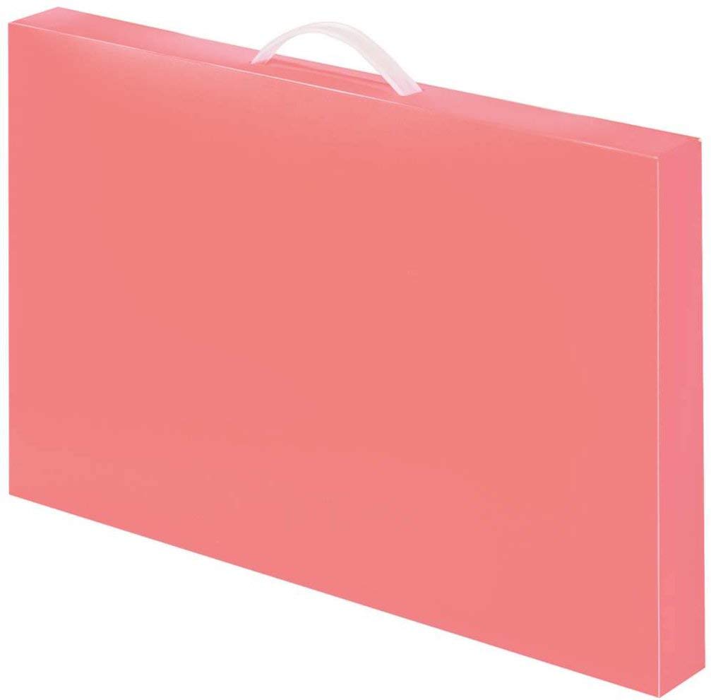 Папка-органайзер Raymay Fujii Розовая RS140P
Папка-органайзер Raymay Fujii Розовая RS140P