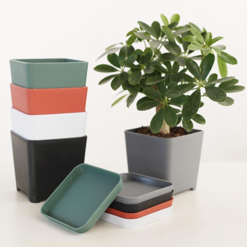 3 set with Tray Plastic Flower Pot Resin Nursery Pot Home Decoration Succulent Plant Pot Desktop S білий
3 set with Tray Plastic Flower Pot Resin Nursery Pot Home Decoration Succulent Plant Pot Desktop S білий