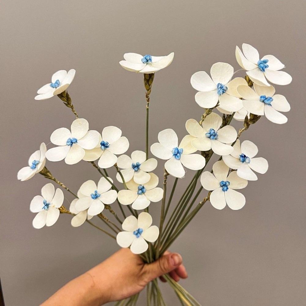 10pcs Realistic Violet Dried Flower Violet Color Artificial Violet Flowers Restaurant розовый
10pcs Realistic Violet Dried Flower Violet Color Artificial Violet Flowers Restaurant розовый