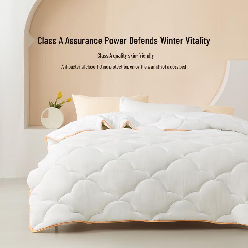 Mercury Home Textiles Sheria Antibacterial Quilt
Mercury Home Textiles Sheria Antibacterial Quilt