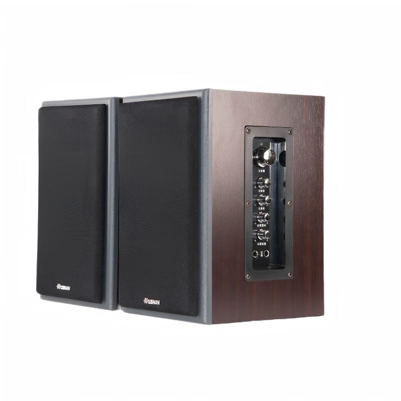 Hushan V600-251i Monitor Speaker
Hushan V600-251i Monitor Speaker