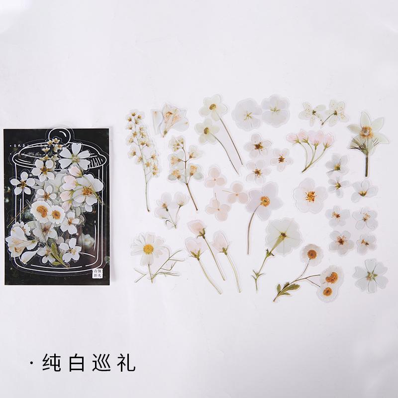 Mr.paper 2 Designs Ins Style Shanye Shimmer Series Cute Little Flower Diary Scrapbook Creative Manual DIY Decorative Sticker
Mr.paper 2 Designs Ins Style Shanye Shimmer Series Cute Little Flower Diary Scrapbook Creative Manual DIY Decorative Sticker