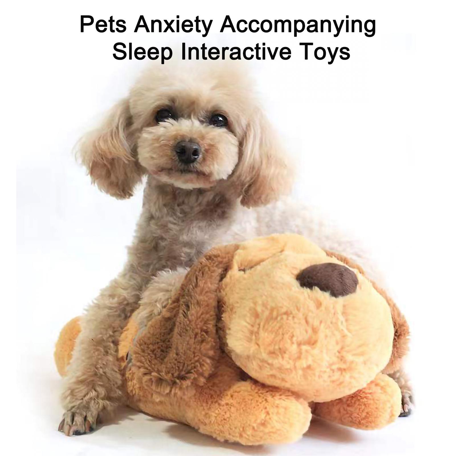 1 Pc Heart Beat Dog Anxiety Relief Plush Toy Pet Comfortable Behavioral Training Play Aid Tool Soft Plush Sleeping Buddy for Dog
1 Pc Heart Beat Dog Anxiety Relief Plush Toy Pet Comfortable Behavioral Training Play Aid Tool Soft Plush Sleeping Buddy for Dog